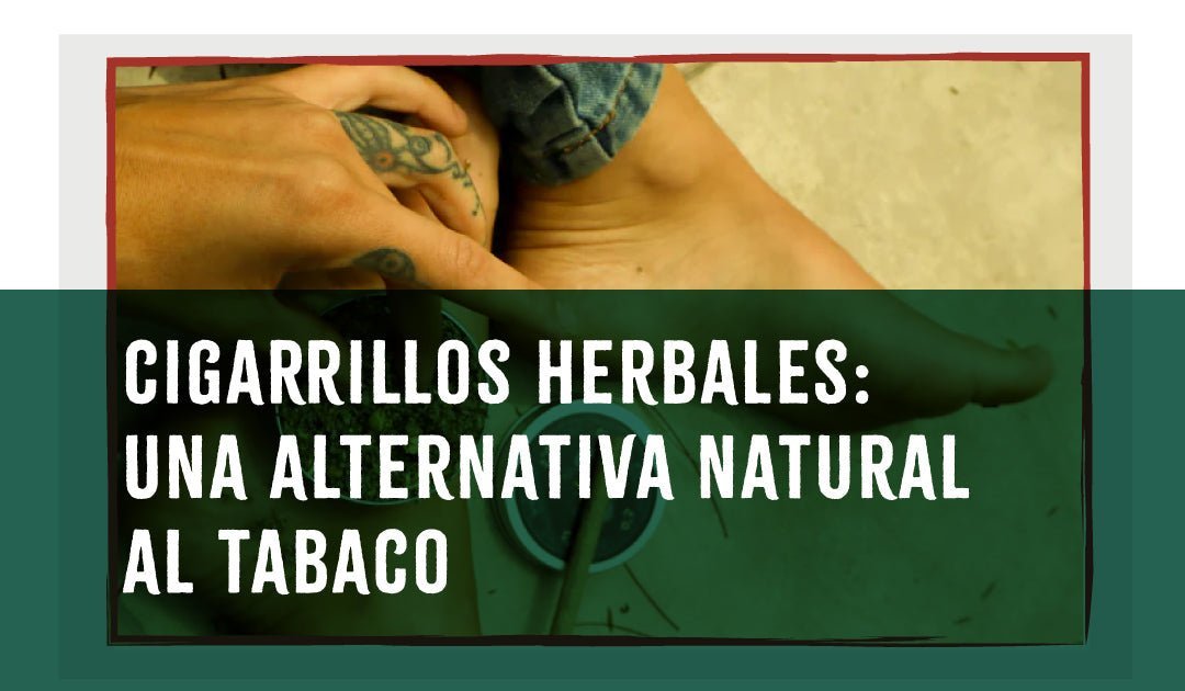 Cigarrillos herbales: Una alternativa natural al tabaco.