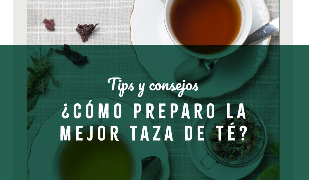 ¿Cómo preparar la mejor taza de té?