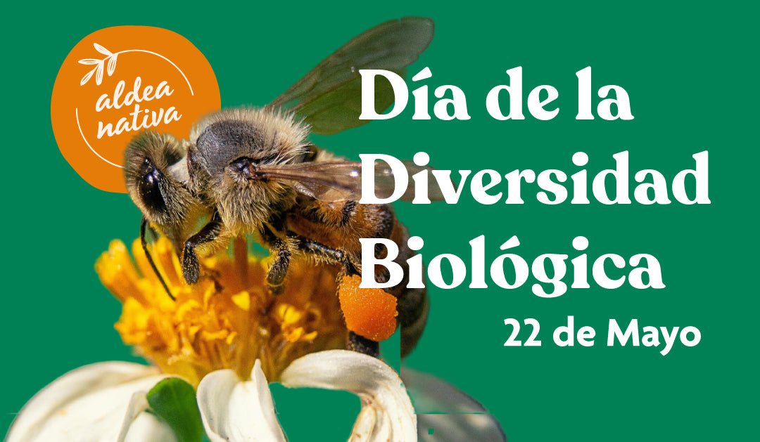 Día de la Biodiversidad