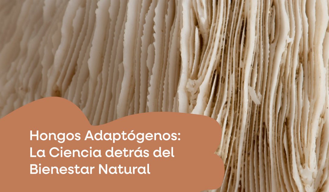 Hongos Adaptógenos: La Ciencia detrás del Bienestar Natural