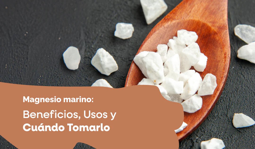 Magnesio Marino: Beneficios, Usos y Cuándo Tomarlo