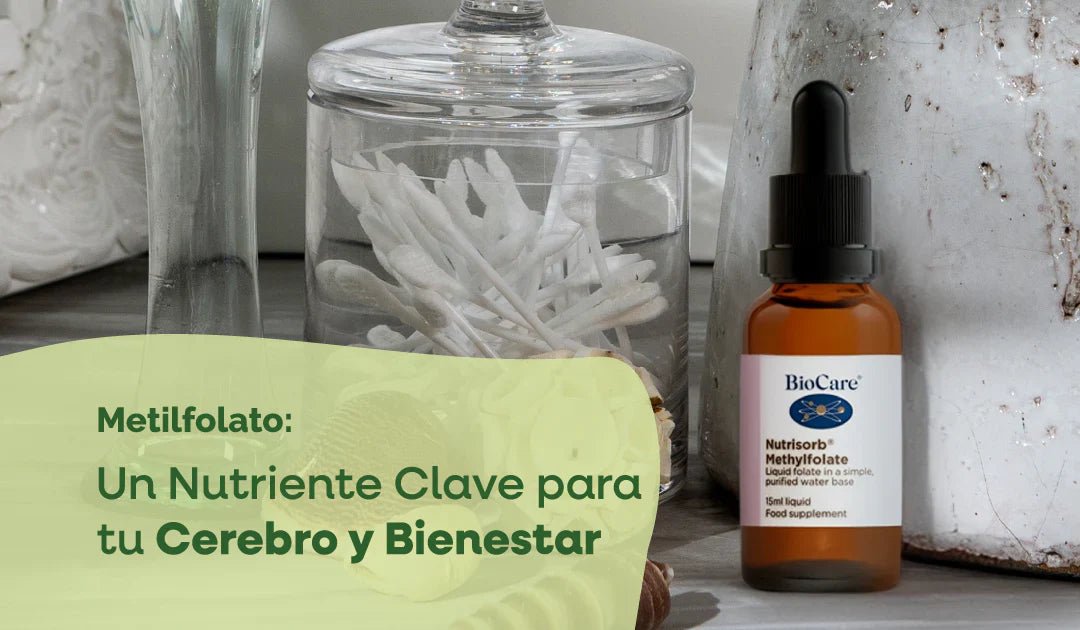 Metilfolato: Un Nutriente Clave para tu Cerebro y Bienestar