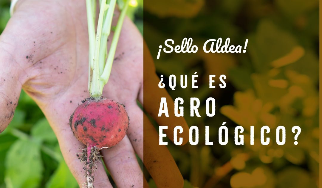 ¿Qué es Agroecológico?