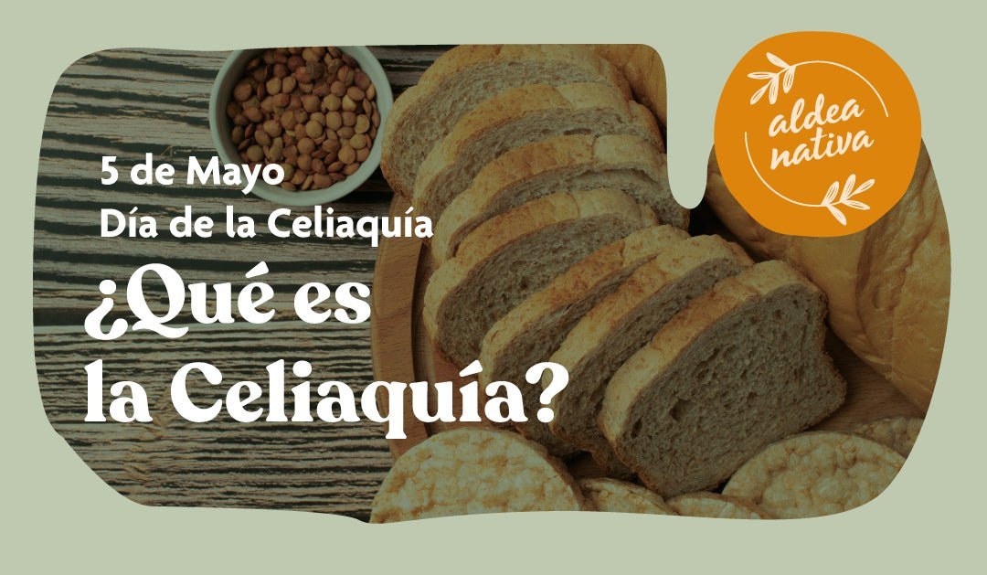 ¿Qué es el gluten y la celiaquía?