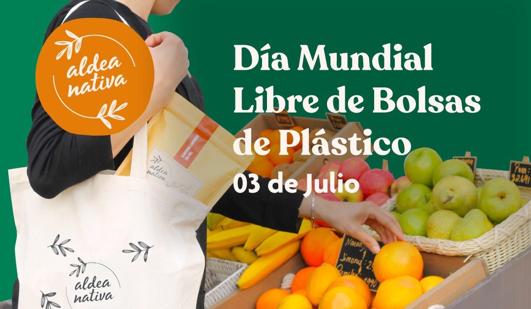 ¿Qué plásticos puedo reciclar?