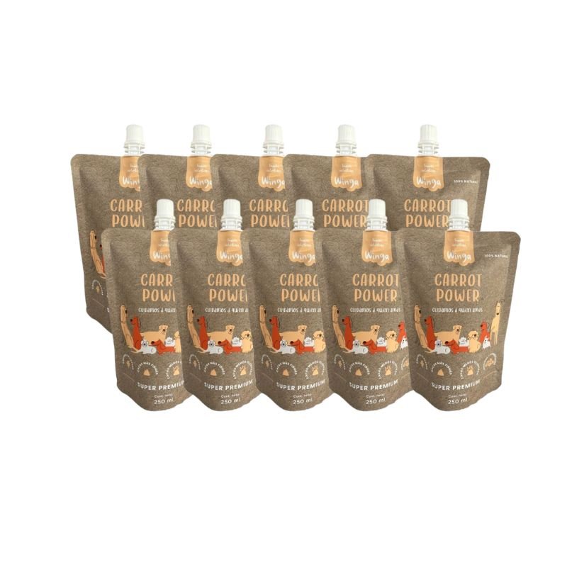 Carrot Power Winga 10 Un. 250 Ml - Aldea Nativa