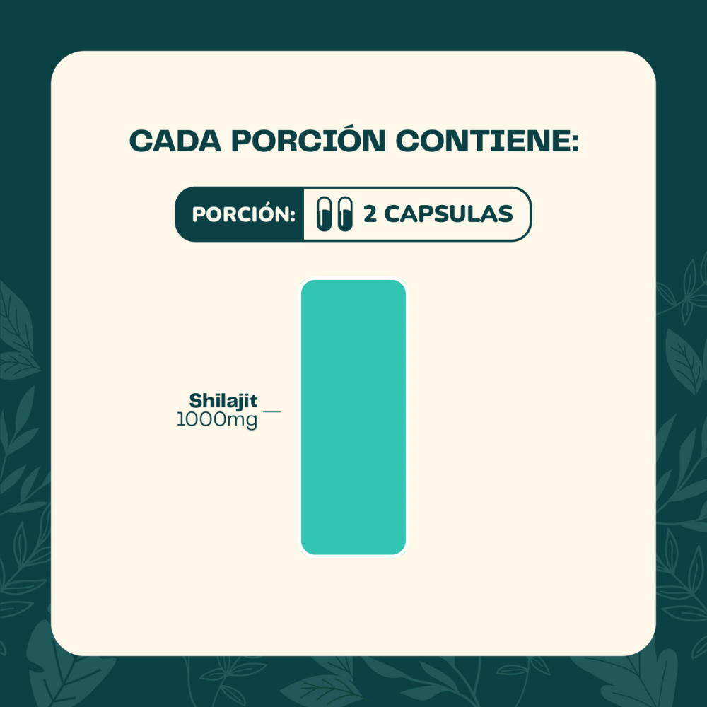 Shilajit 60 cap KARUN LIFE