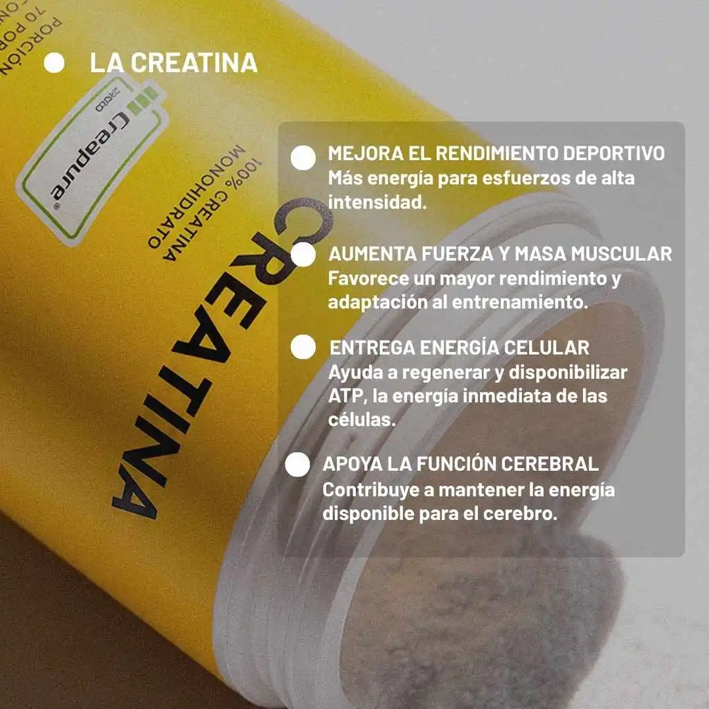 Creatine + 350 GR BASICS