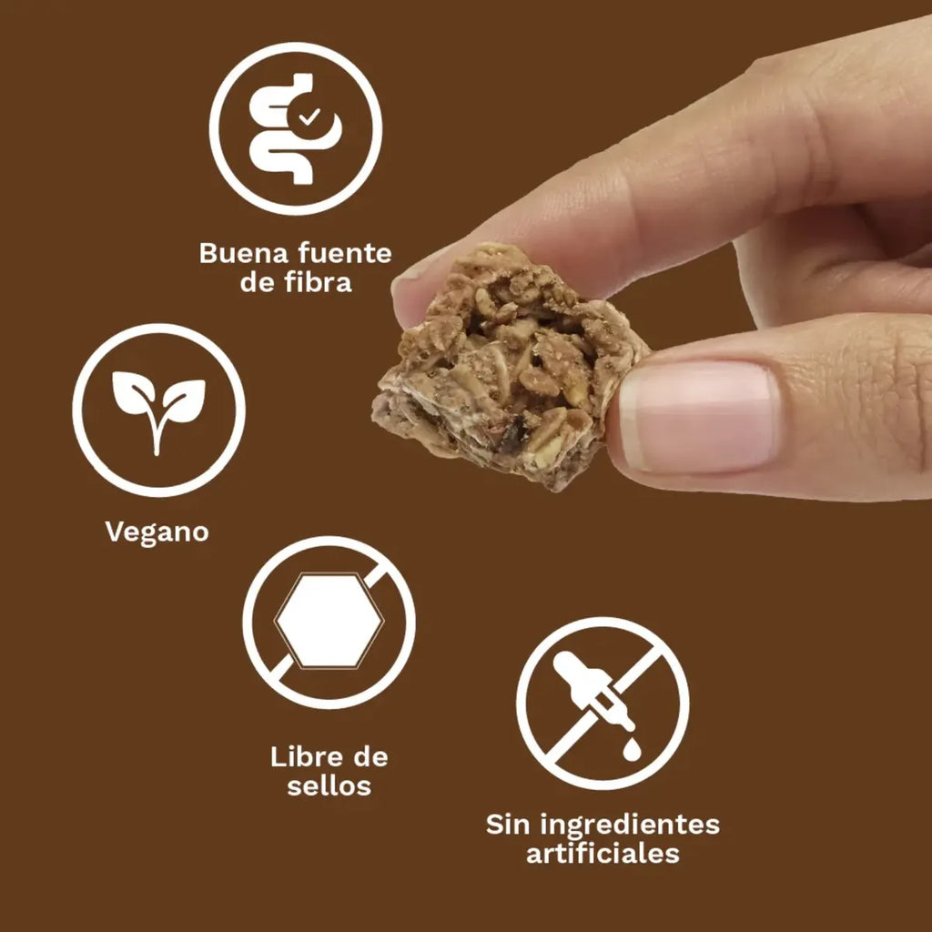 Bites de Avena Cacao y Coco 40 GR MIZOS