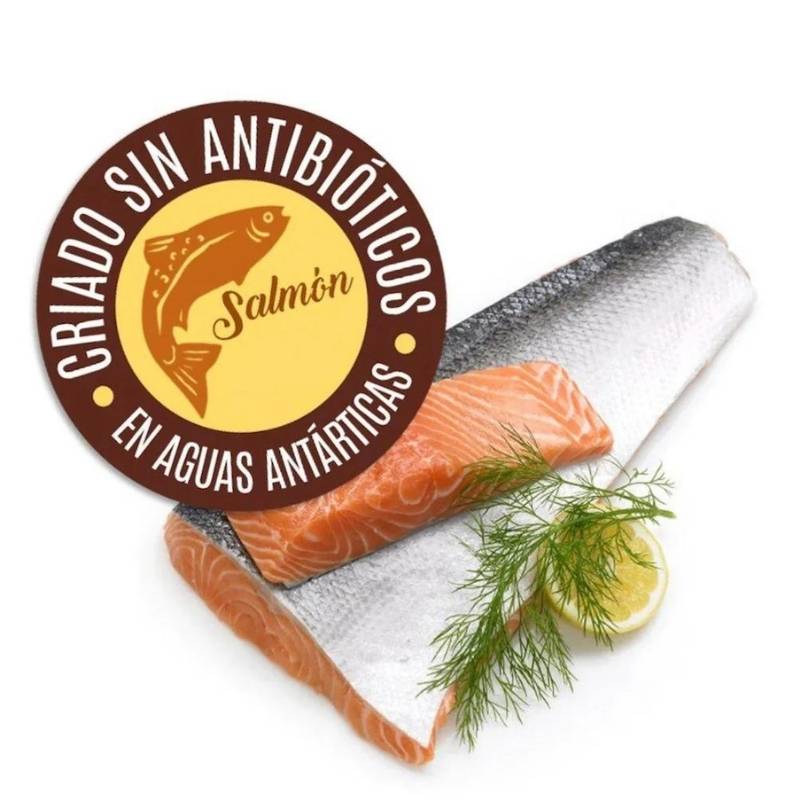 Filete Salmón Granja Magdalena 1 Kg - GRANJA MAGDALENA - Aldea Nativa
