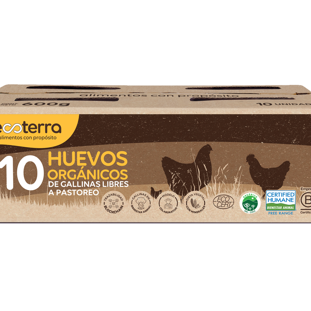 Huevos orgánicos 10 un Ecoterra