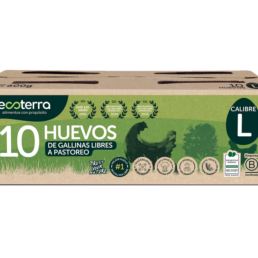 Huevos estuche 10 un Ecoterra