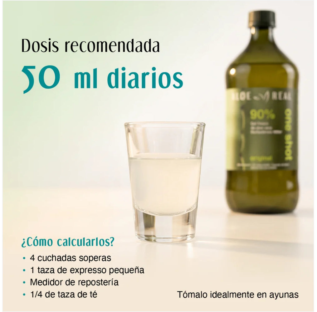 Gel Aloe Vera Original 980 ML ALOE REAL
