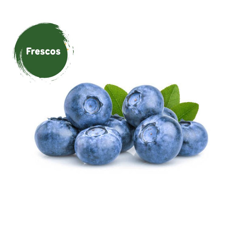 Arándanos kl Ronald - Ronald - Aldea Nativa