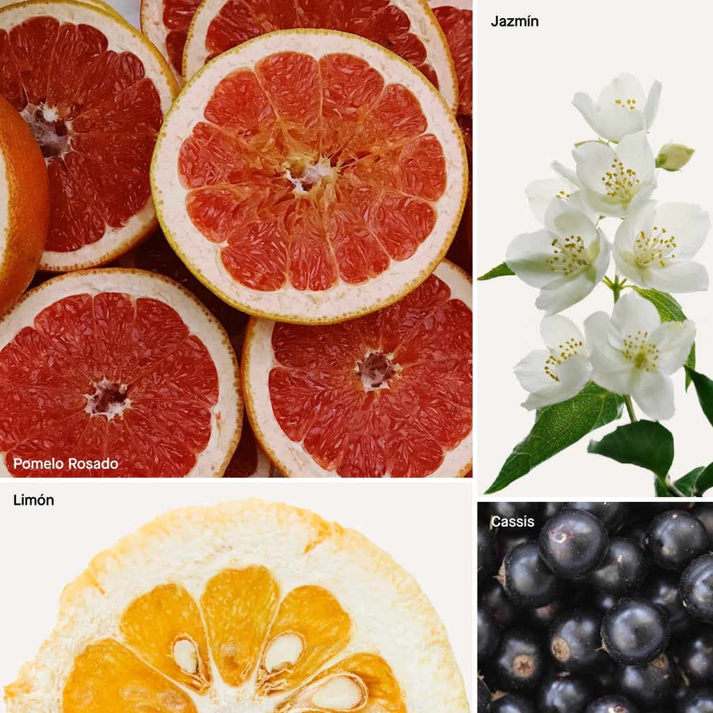 Aromatizante en spray Grapefuit 120 ml Dusa - DUSA - Aldea Nativa