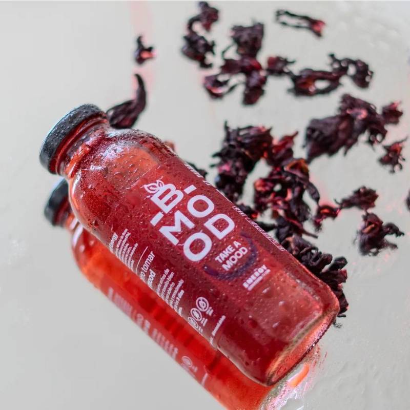 Bebida Mood Energy Reboot 450 Ml - REBOOT - Aldea Nativa