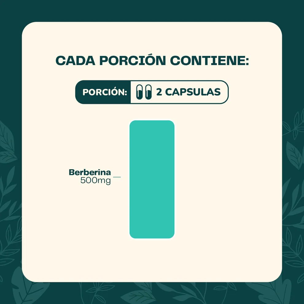 Berberina 60 cap KARUN LIFE - KARUN LIFE - Aldea Nativa