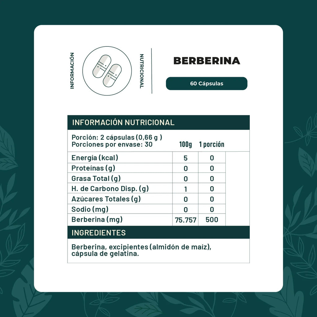 Berberina 60 cap KARUN LIFE - KARUN LIFE - Aldea Nativa
