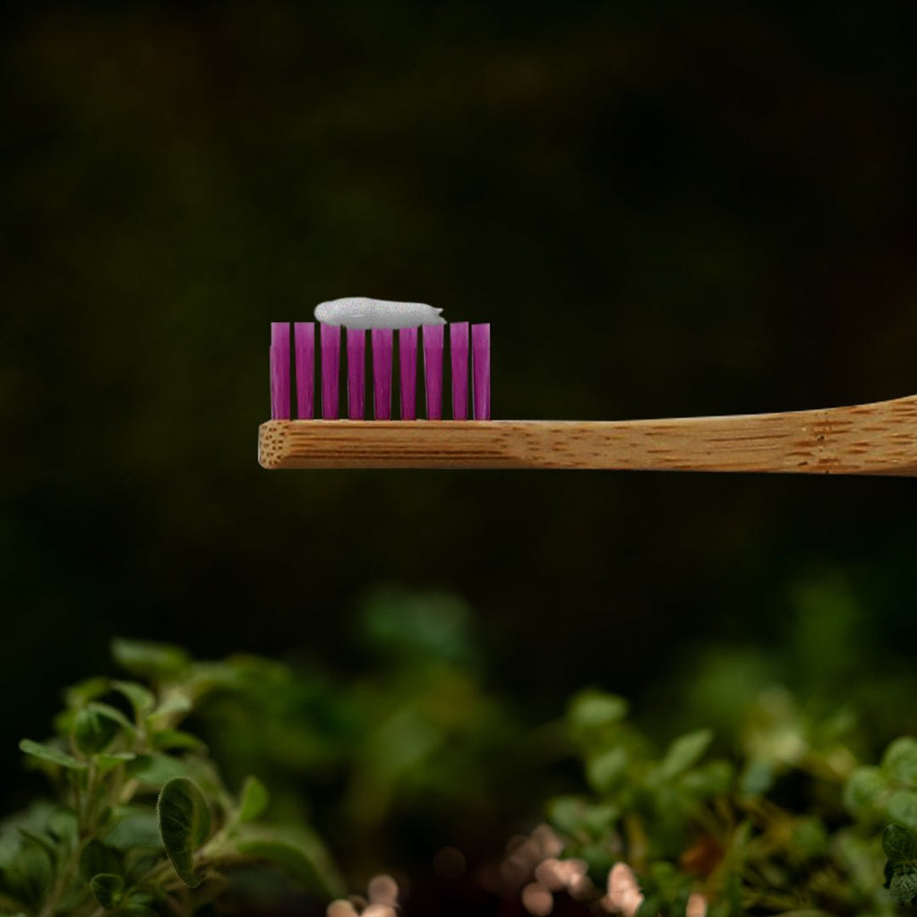 Cepillo de Dientes Biobrush Bambú Ortodoncia Suave Morado - BIOBRUSH - Aldea Nativa