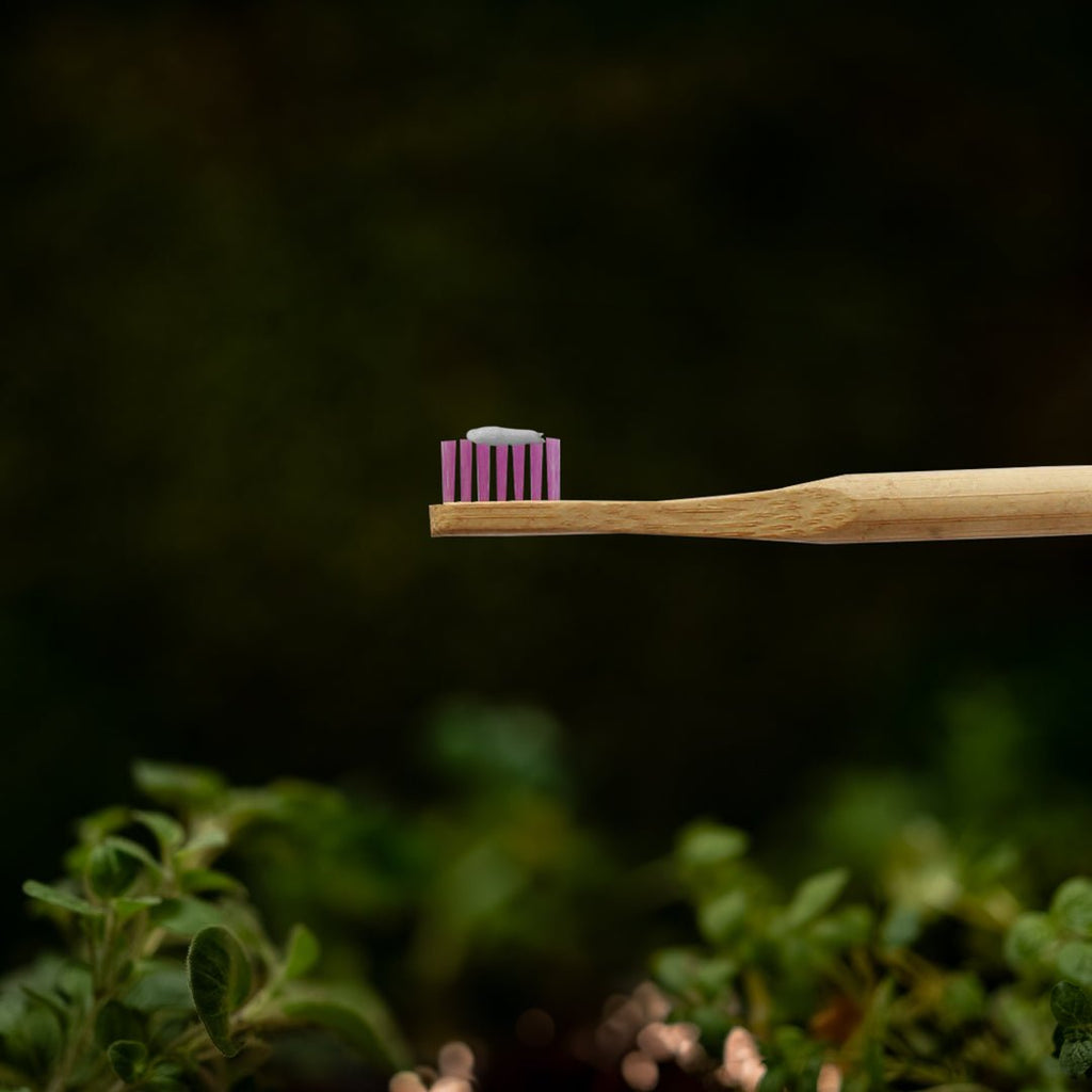 Cepillo de Dientes Biobrush Bambú Suave Niño Morado - BIOBRUSH - Aldea Nativa