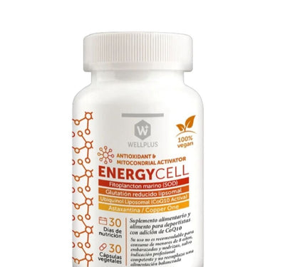 Productos Wellplus | Aldea Nativa