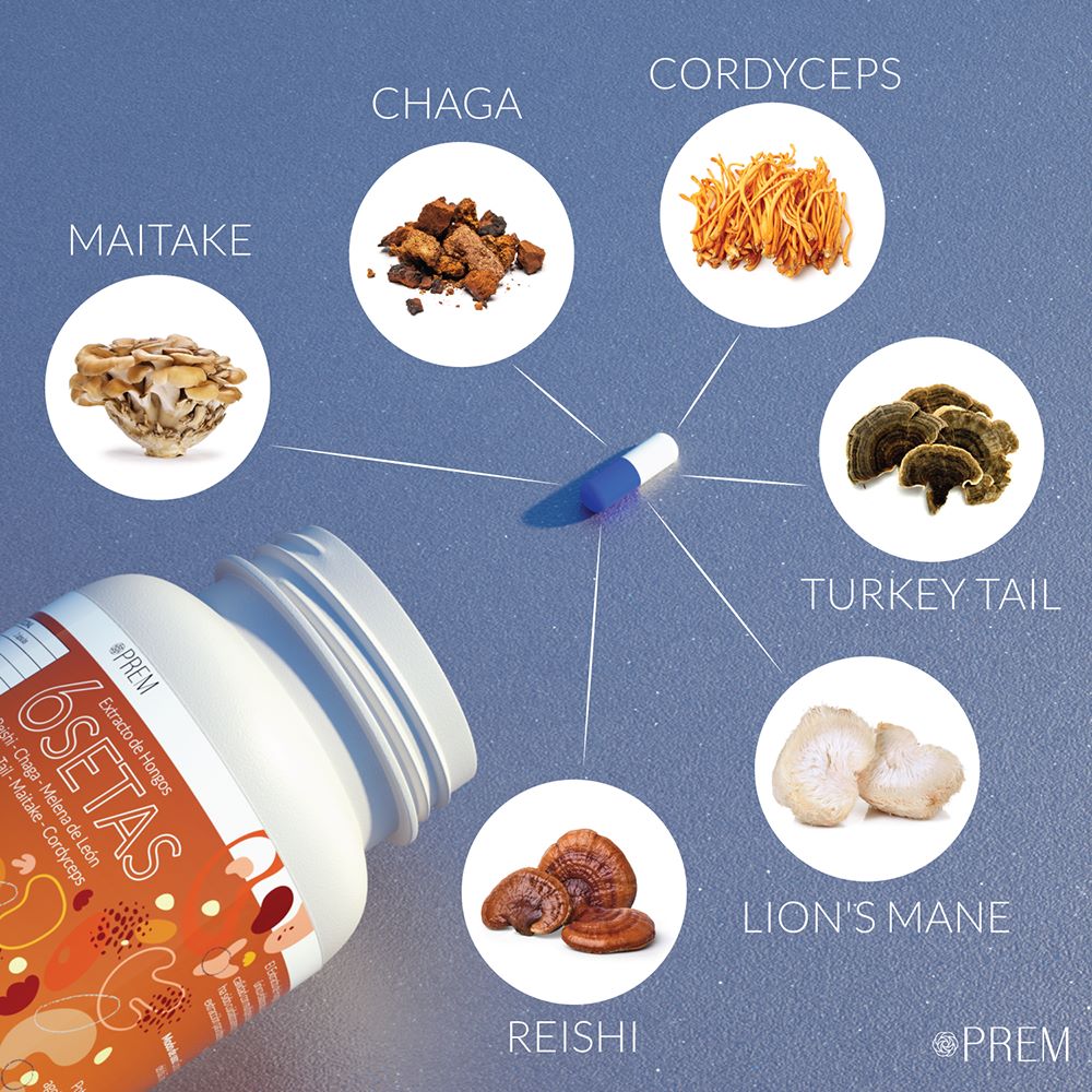 Extracto de Hongos 6 Setas Prem 30 Gr - PREM - Aldea Nativa