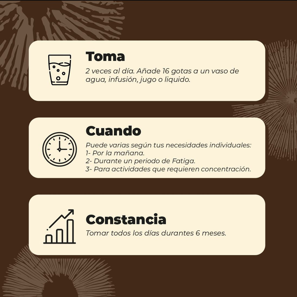 Extracto de melena de leon Hongo 30 ml Karun Life - KARUN LIFE - Aldea Nativa