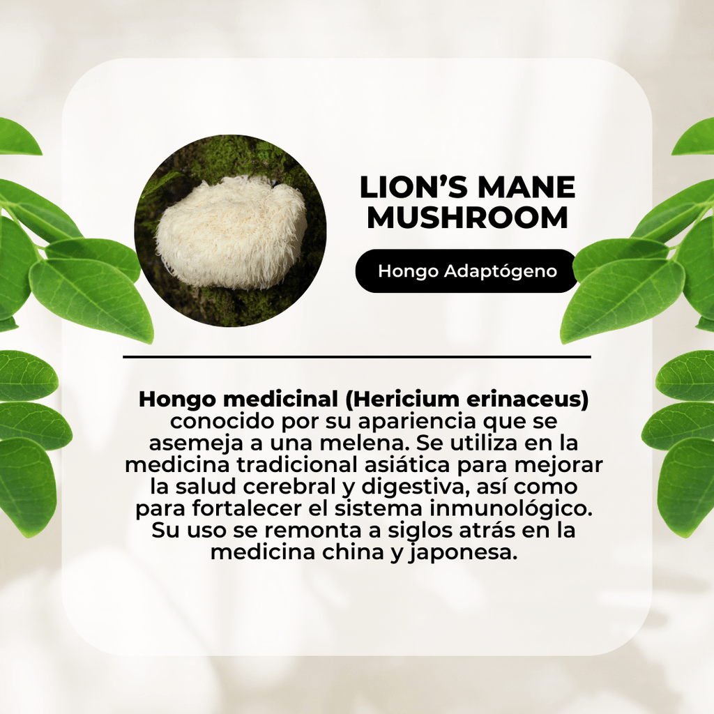 Extracto de melena de leon Hongo 30 ml Karun Life - KARUN LIFE - Aldea Nativa