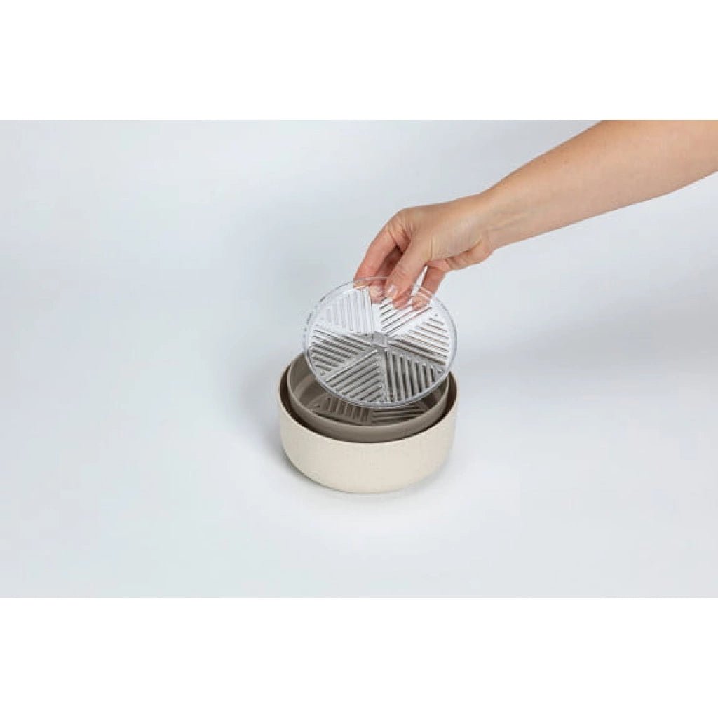 Germinador de semillas + rebrote semillas microgreens + regrow marfil un Miobio - MIOBIO - Aldea Nativa