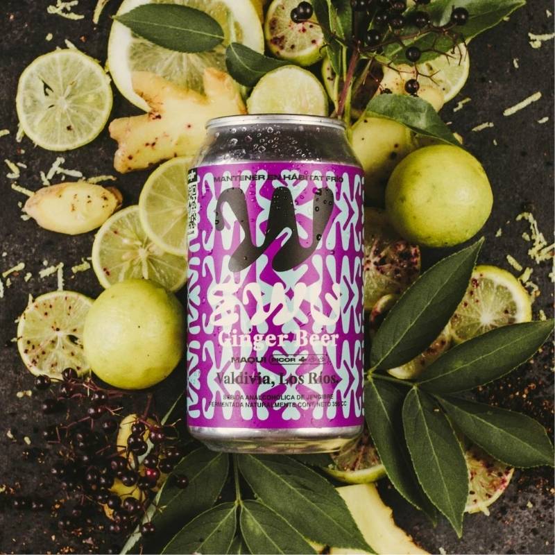 Ginger Beer Maqui Ewu 350 Ml - EWU - Aldea Nativa