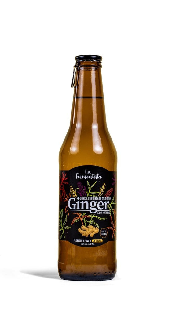 Ginger de Jegibre con Kefir La Fermentista 330 Ml - LA FERMENTISTA - Aldea Nativa