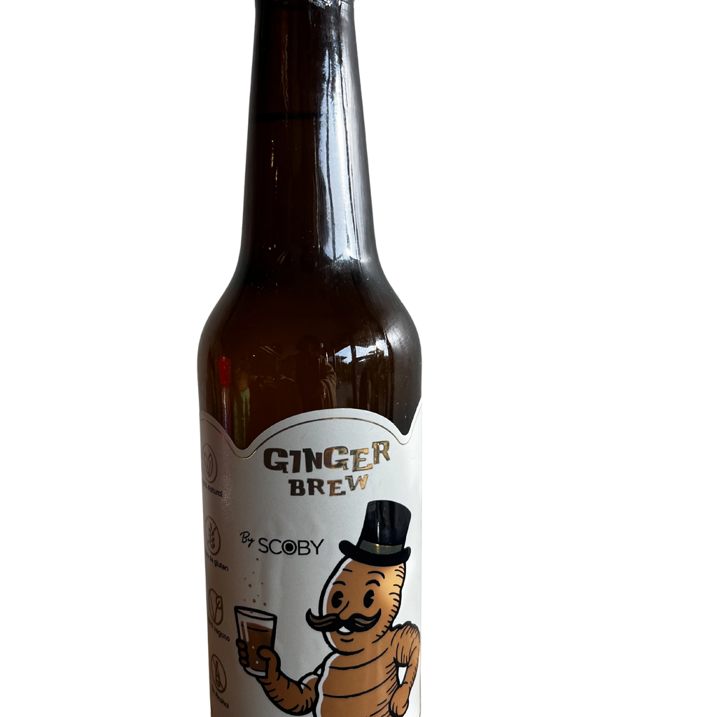 Ginger brew 330 ML SCOBY