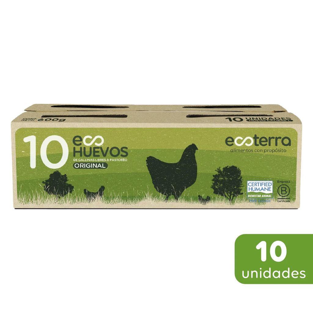 Huevos estuche 10 un Ecoterra - ECOTERRA - Aldea Nativa