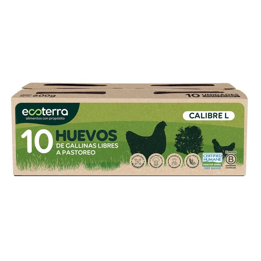 Huevos estuche 10 un Ecoterra