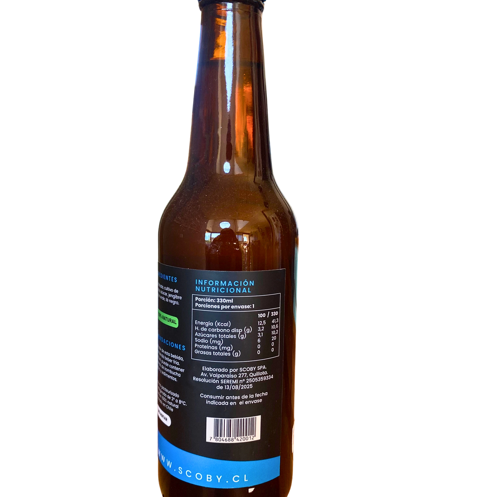 Kombucha jengibre 330 ML SCOBY