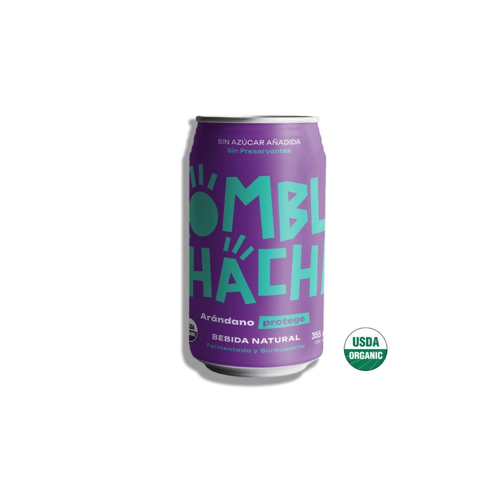 Kombucha Arándano Protege Kombuchacha 350 Ml - KOMBUCHACHA - Aldea Nativa