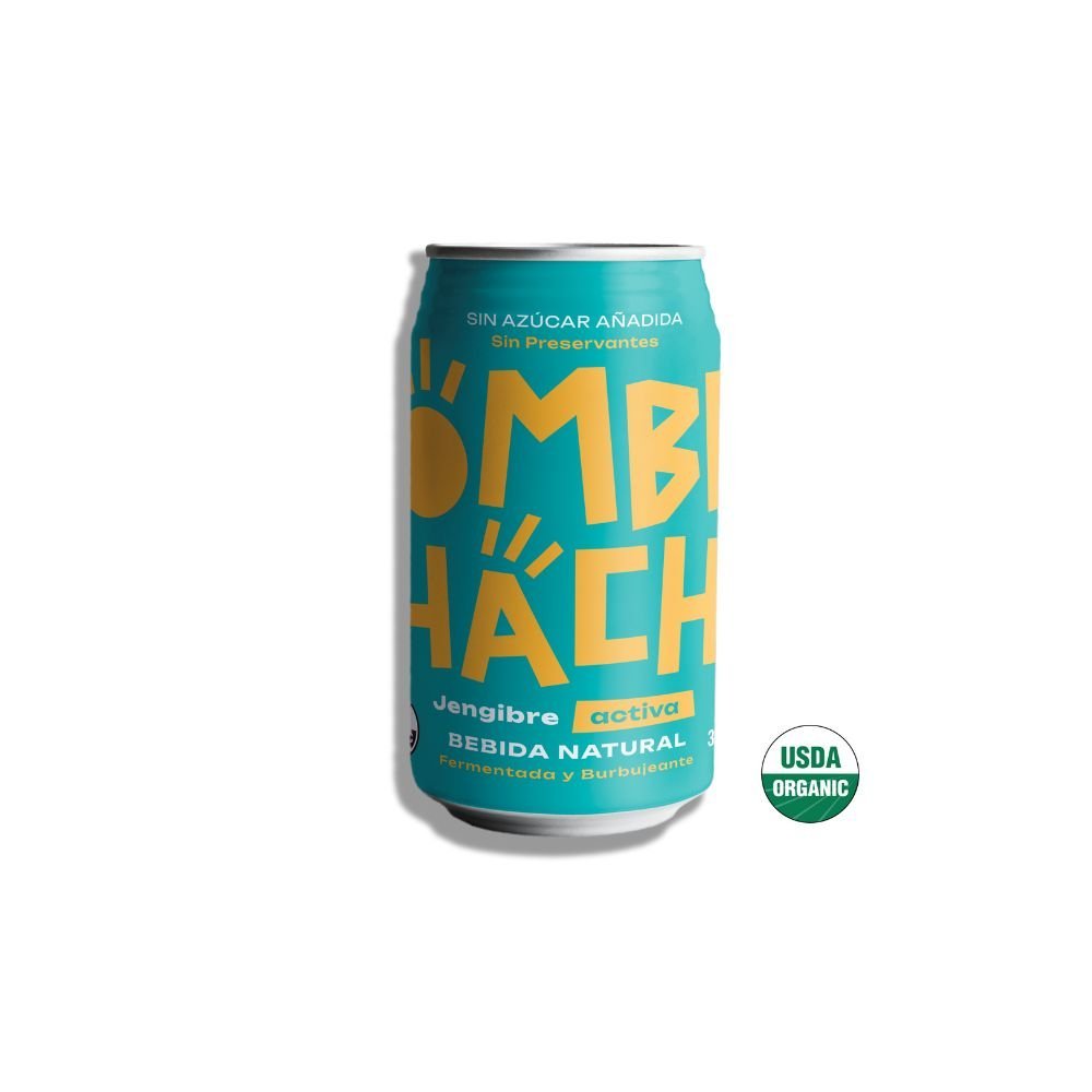Kombucha Jengibre Kombuchacha 350 Ml - KOMBUCHACHA - Aldea Nativa
