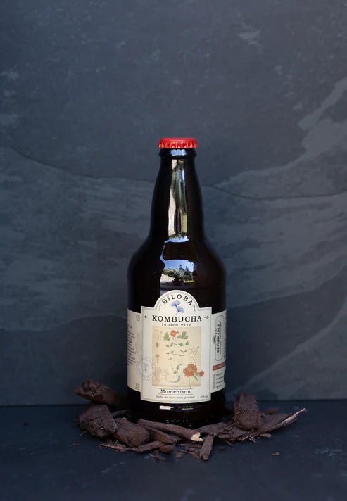 Kombucha Momentum 500 ml Biloba - BILOBA - Aldea Nativa