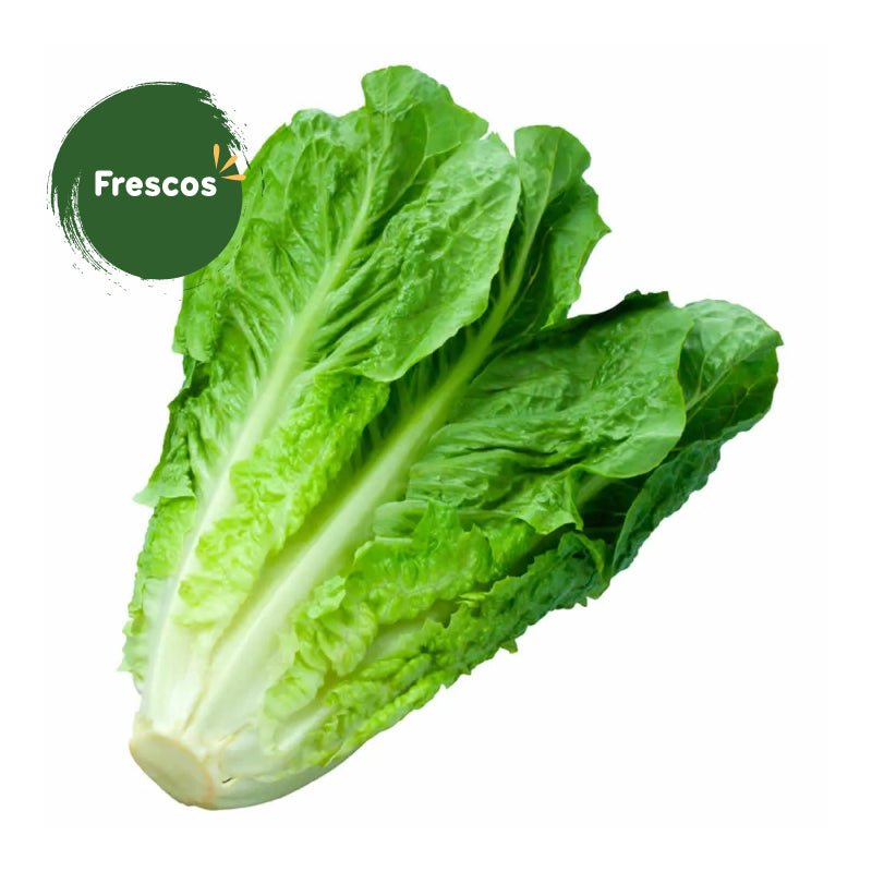 Lechuga costina un Ronald - Ronald - Aldea Nativa