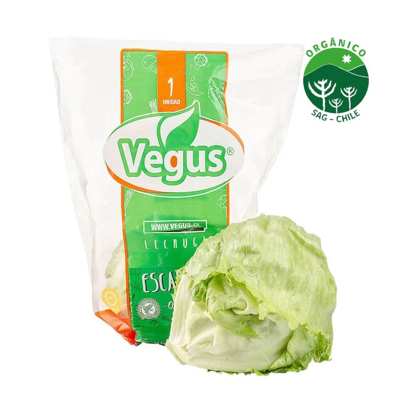 Lechuga escarola orgánica bandeja - VEGUS - Aldea Nativa
