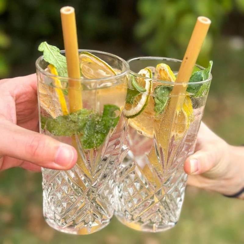 Limon deshidratado Secao 40 Gr - SECAO - Aldea Nativa