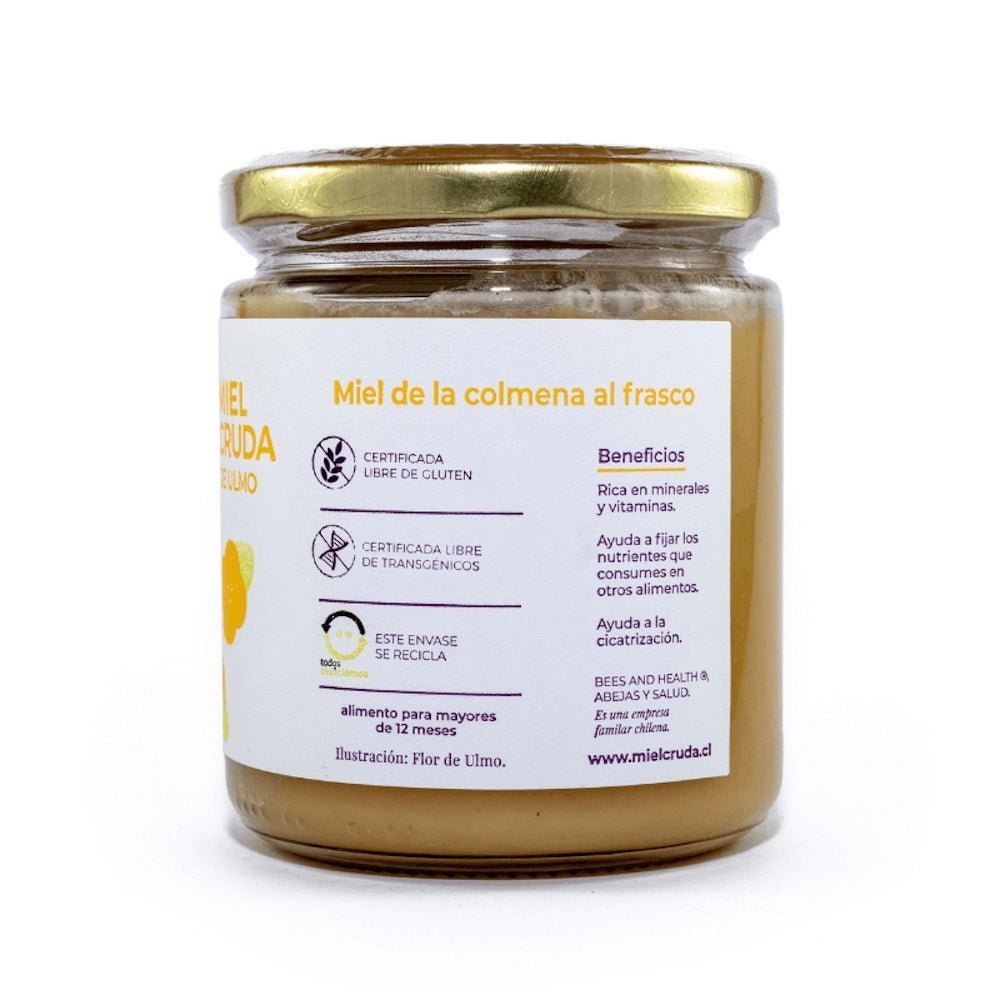 Miel Cruda Bees and Health 500 Gr - BEES AND HEALTH - Aldea Nativa