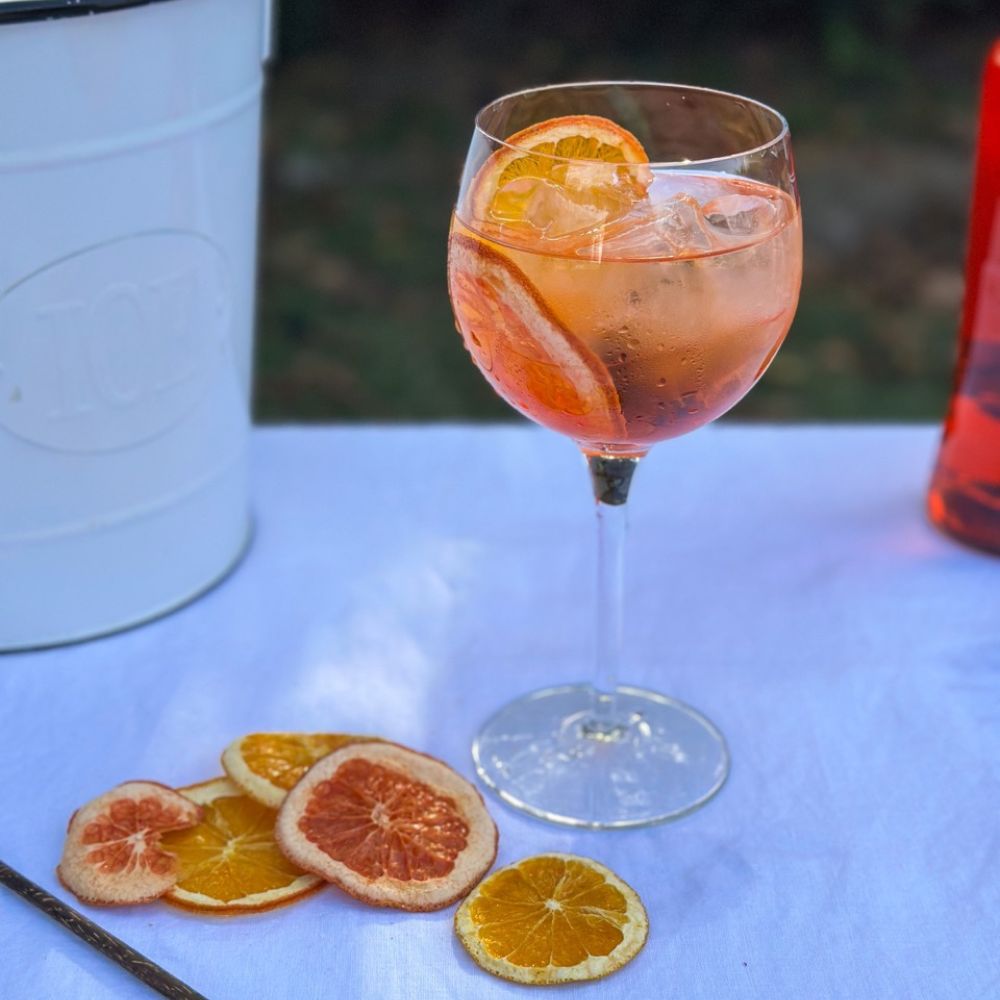 Naranja deshidratada Secao 40 Gr - SECAO - Aldea Nativa