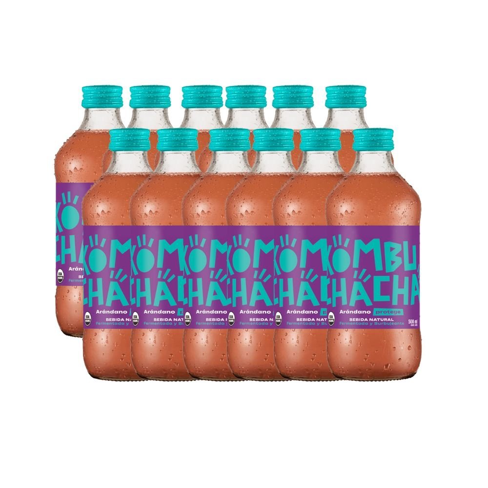 Pack 12 Kombucha Arándano Kombuchacha 500 Ml - KOMBUCHACHA - Aldea Nativa