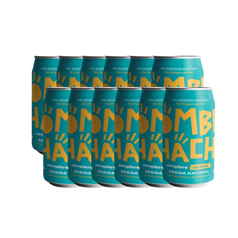 Pack 12 Kombucha Jengibre Kombuchacha 350 Ml - KOMBUCHACHA - Aldea Nativa