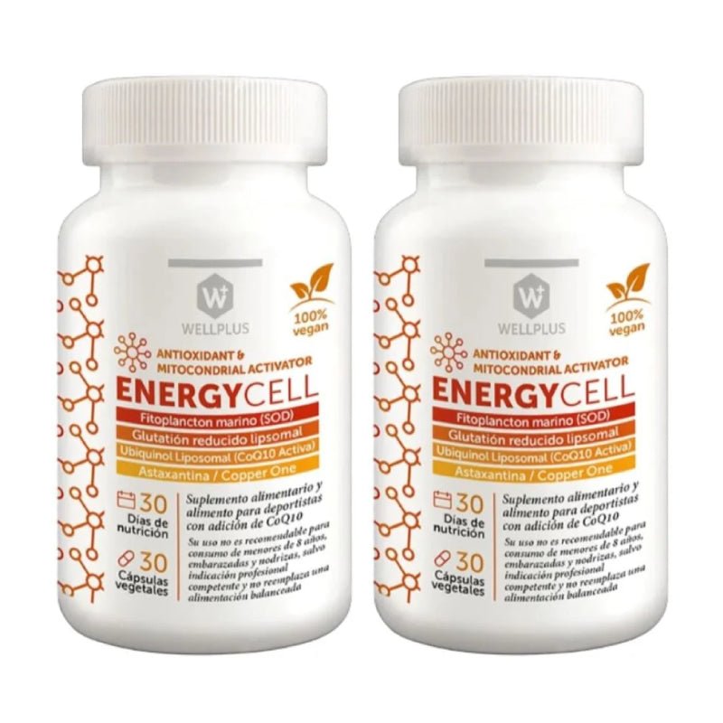 Pack 2 Energy cell Wellplus - WELLPLUS - Aldea Nativa