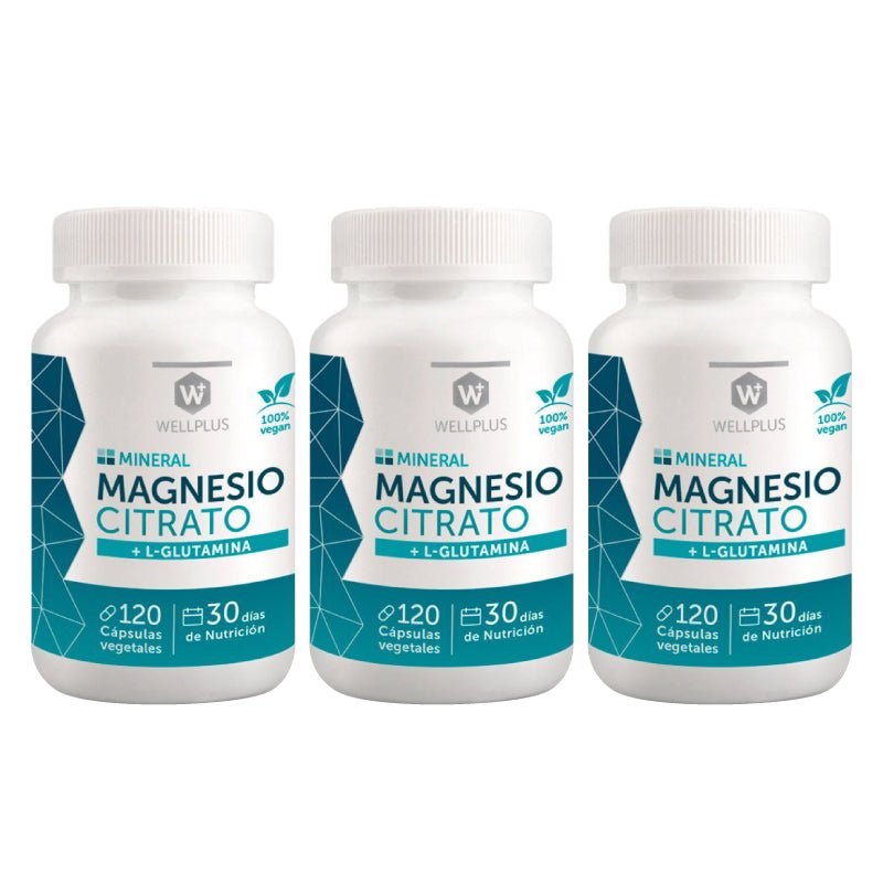 Pack 3 Magnesio Citrato 120 cap Wellplus - WELLPLUS - Aldea Nativa