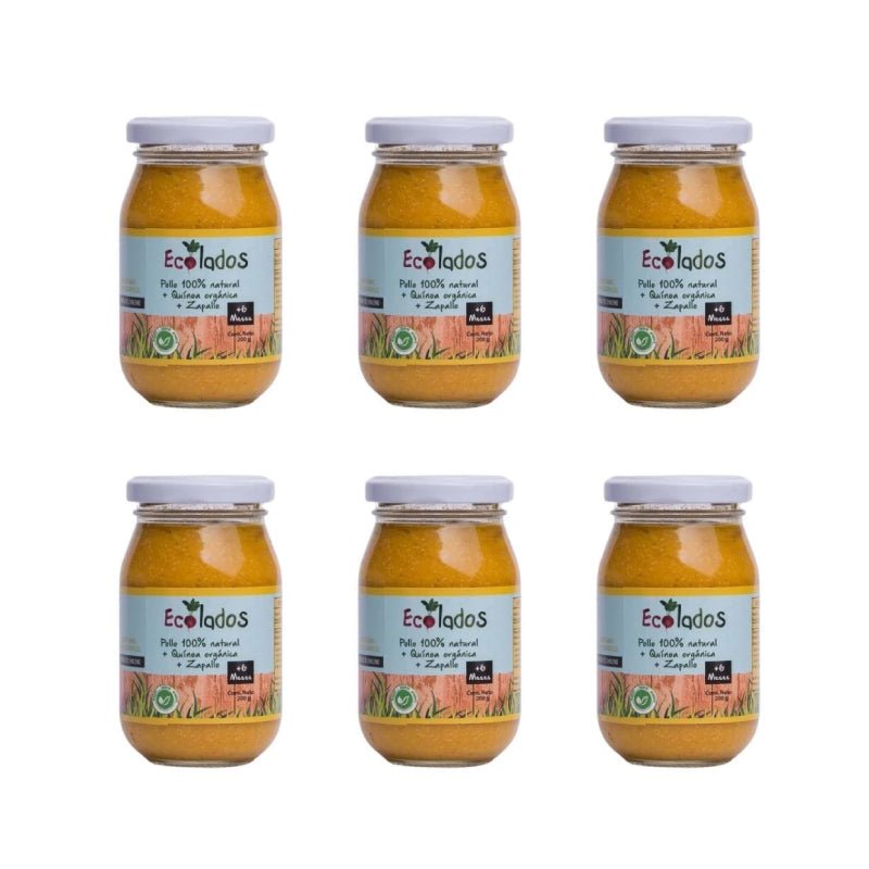 Pack 6 Colado Pollo 100% Natural con Quinoa y Zapallo Ecolados 200 Gr - ECOLADOS - Aldea Nativa