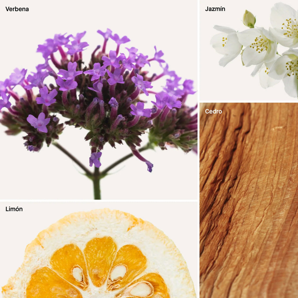 Pre poo Spray Verbena 120 ml Dusa - DUSA - Aldea Nativa