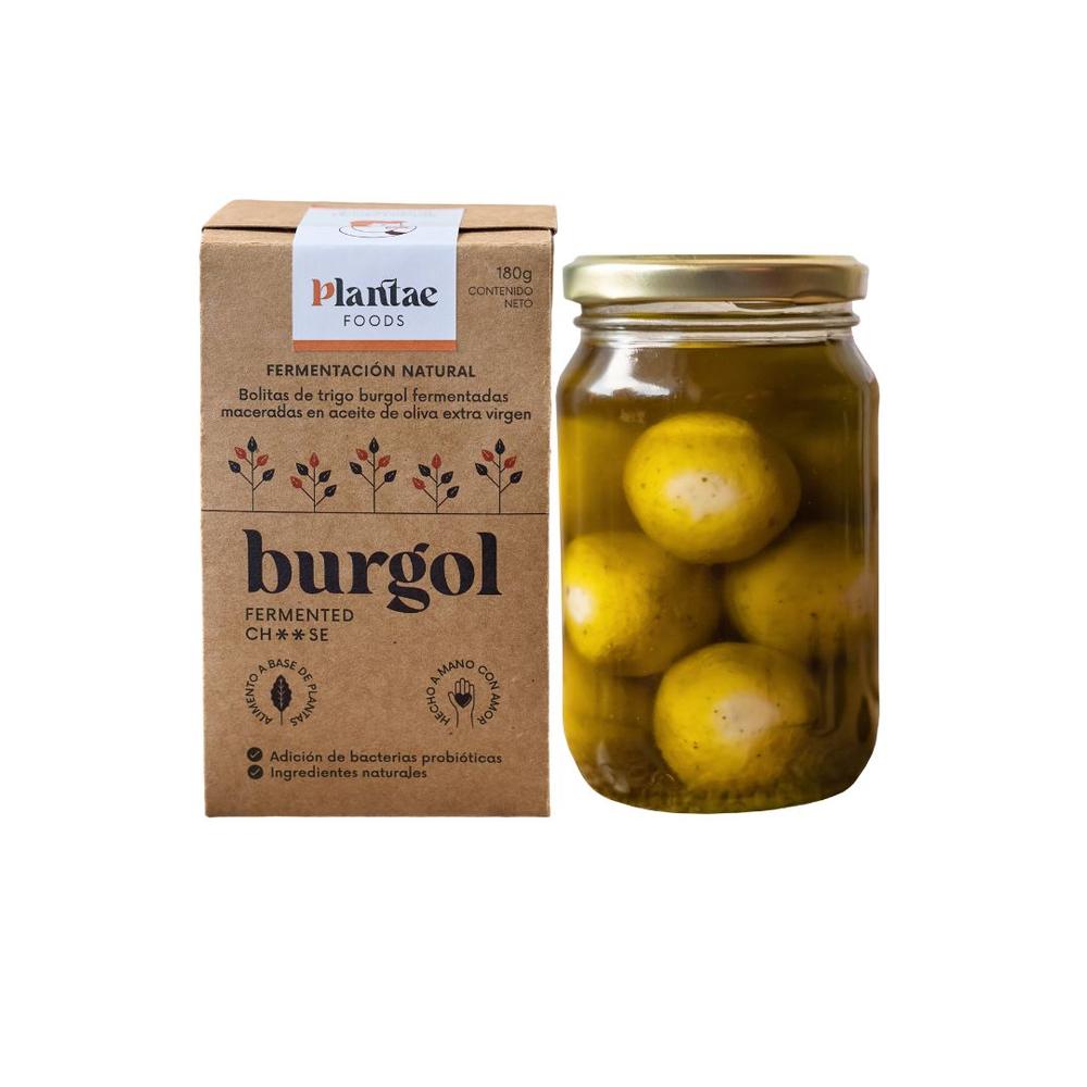 Queso Burgol Fermentado Plantae Foods 380 Ml - PLANTAE FOODS - Aldea Nativa
